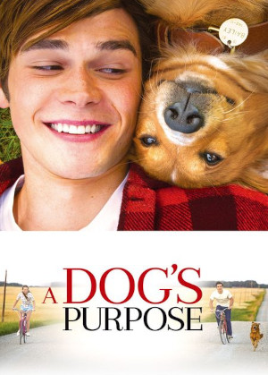 A DOG