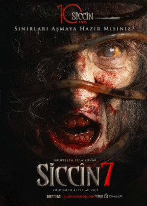 SICCIN 7