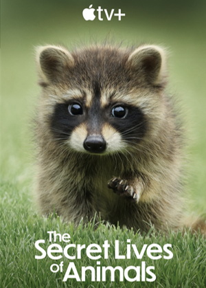 The Secret Lives Of Animals