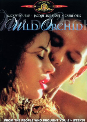 WILD ORCHID